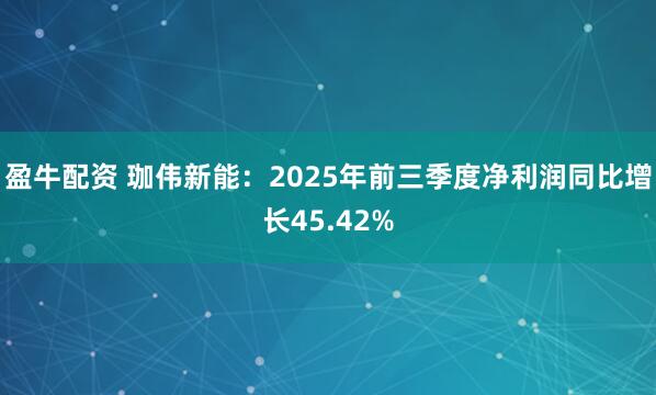 盈牛配资 珈伟新能：2025年前三季度净利润同比增长45.42%
