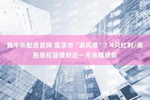 真牛所配资官网 震荡市“避风港”？4只红利/高股息权益理财近一月涨幅居前