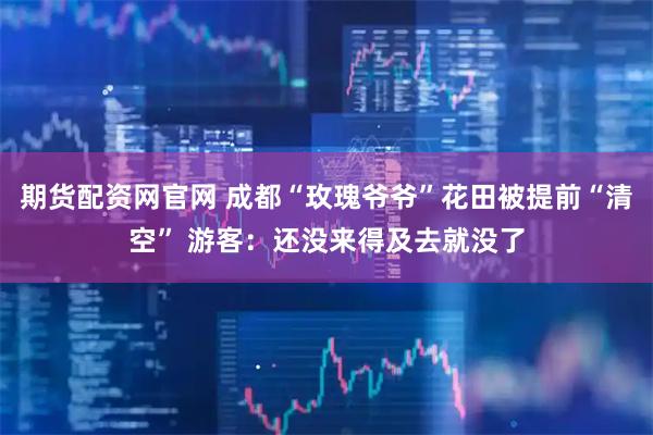 期货配资网官网 成都“玫瑰爷爷”花田被提前“清空” 游客：还没来得及去就没了