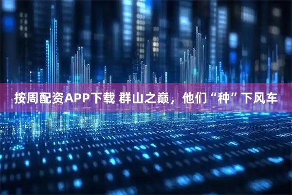 按周配资APP下载 群山之巅，他们“种”下风车